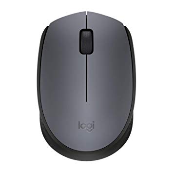MOUSE LOGITECH WIRELESS M170